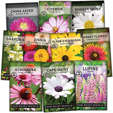 Zinnia Cut Flower Seed Packet Collection - Seed Needs – Seed Needs LLC